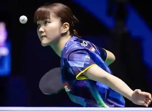 已有丰富的 已有丰富的