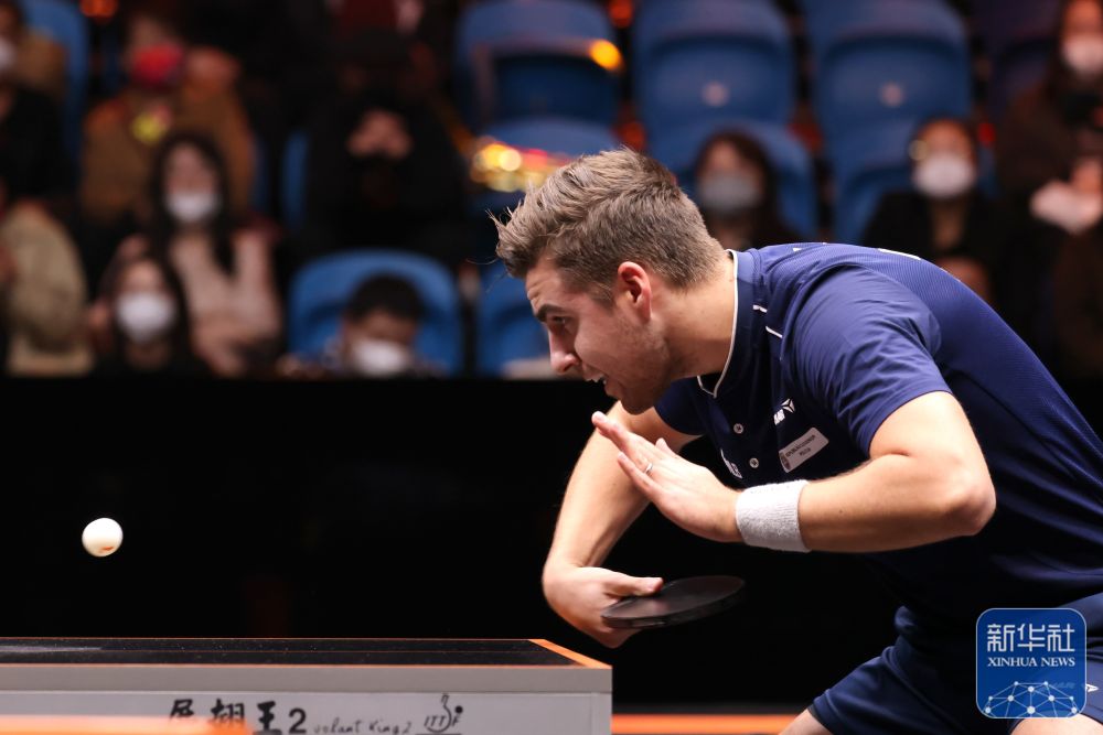 这一表现赢 这一表现赢