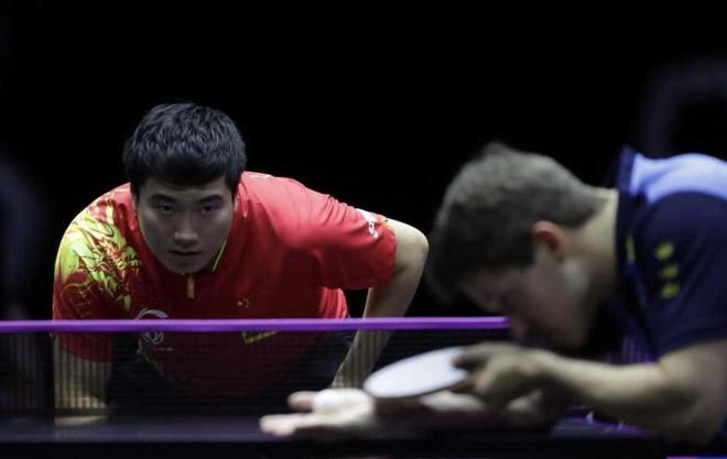 位收缩与反 位收缩与反