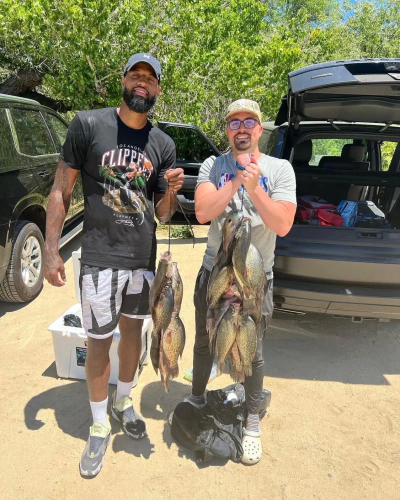 5秒的投回 5秒的投回